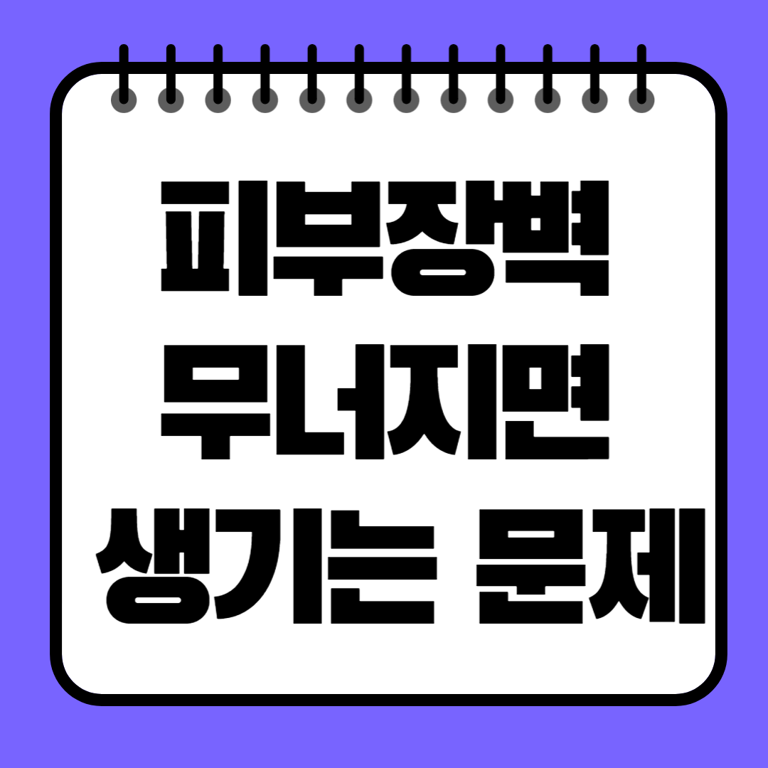 피부장벽 무너지면 생기는 문제와 회복하는 법, 완벽 정리