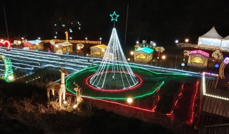 고니골 빛축제1