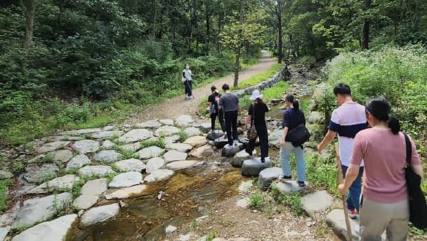 스트레스 완화를 위한 자연 속에서 하는 가벼운 운동법