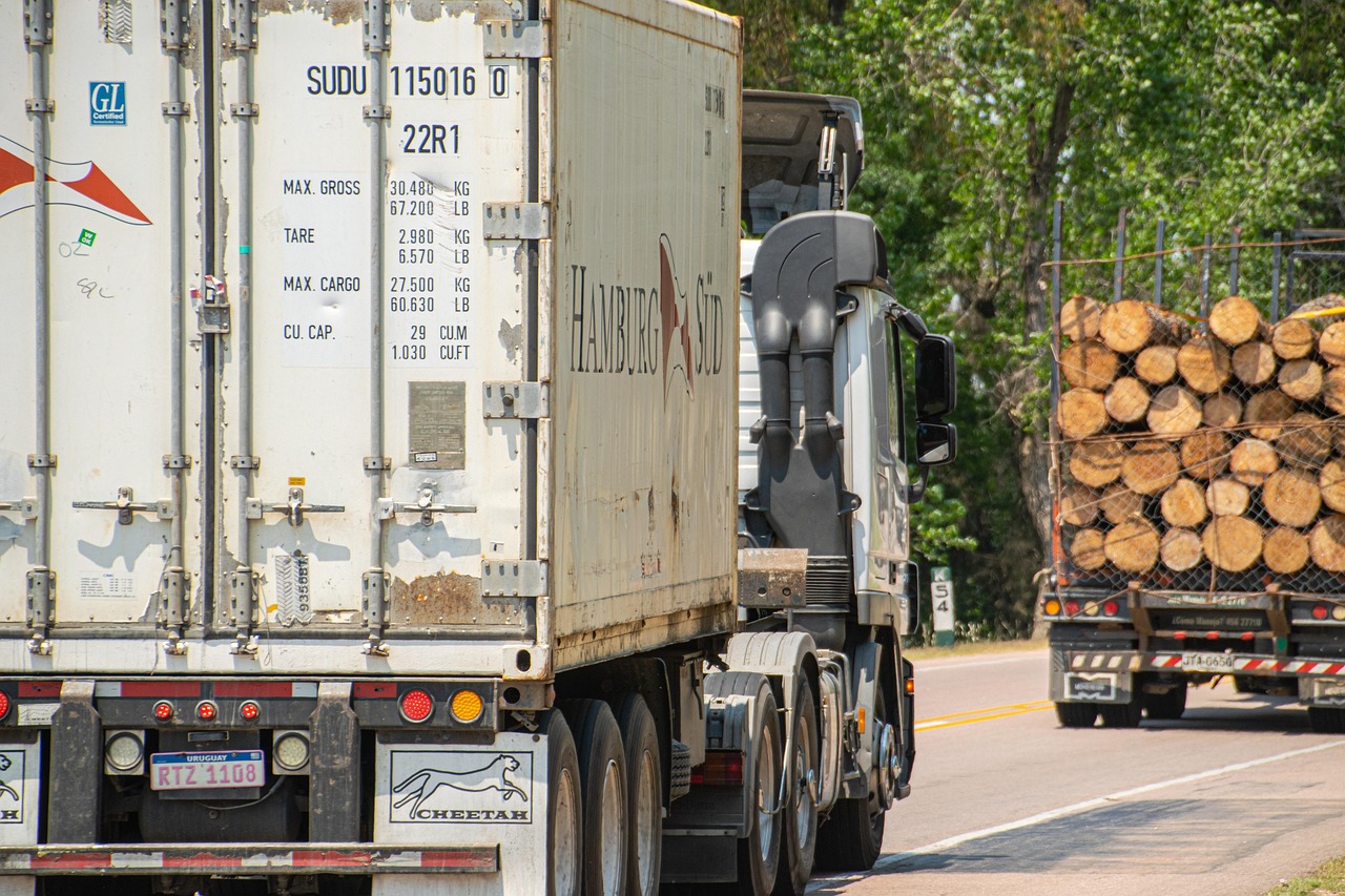 대형면허 취득 과정 체크리스트, 응시 전 꼭 알아야 할 것들