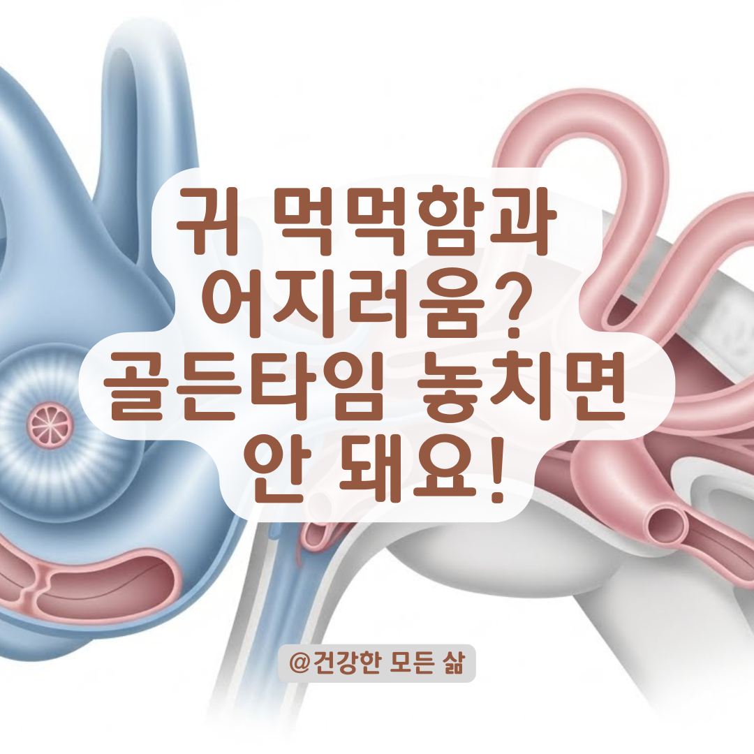 귀가 먹먹하고 삐- 소리가? 이명과 어지러움이 보내는 위험 신호