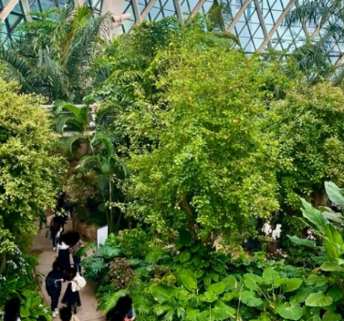 서울 비오는날 가볼만한곳 BEST 10 