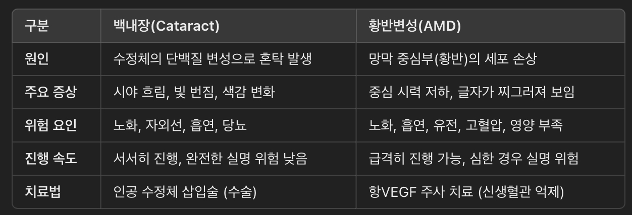 백내장 vs. 황반변성 &ndash; 차이점 비교