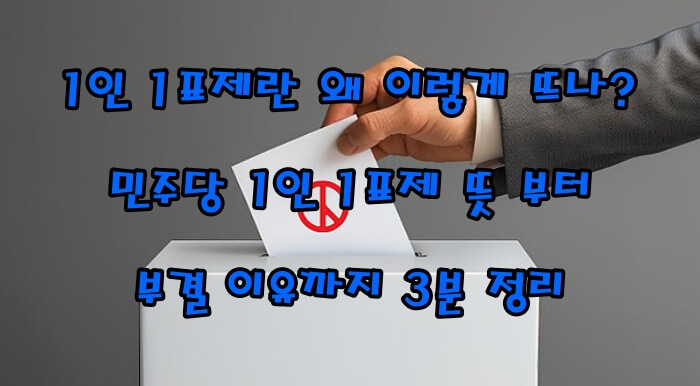 1인 1표제란 왜 이렇게 뜨나?|민주당 1인 1표제 뜻 부터 부결 이유까지 3분 정리