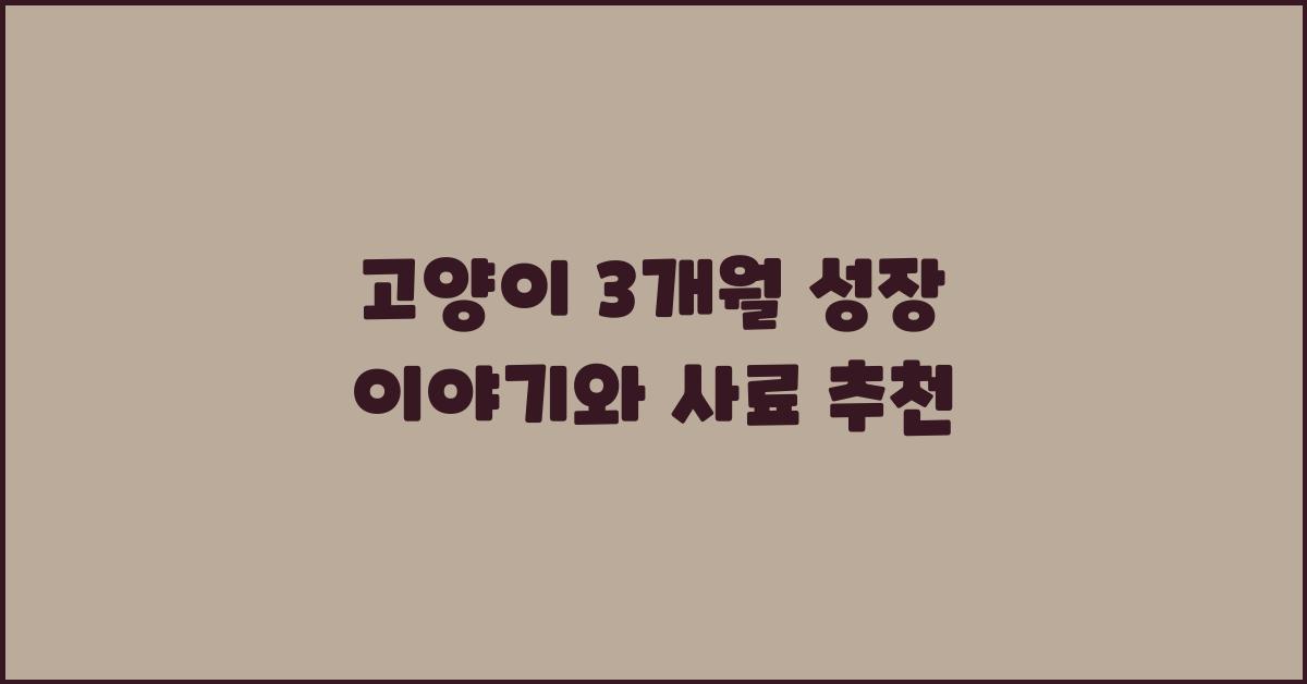 고양이 3개월