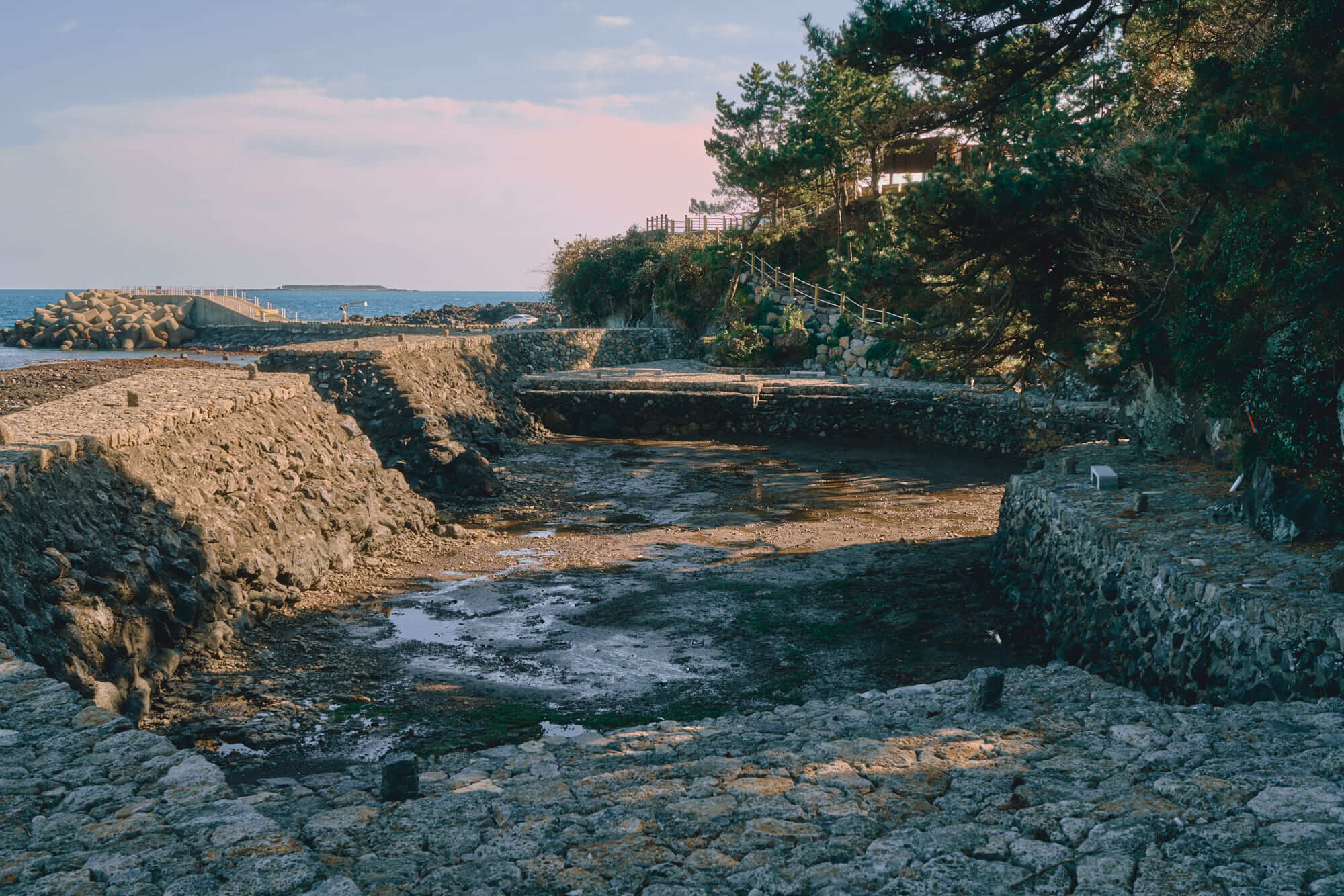 제주 올레길 5코스 추천: 남원포구에서 쇠소깍까지 힐링 여행