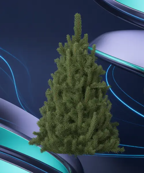 크리스마스 장식 이미지