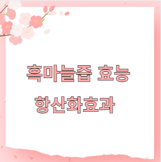 흑마늘즙 효능 항산화효과