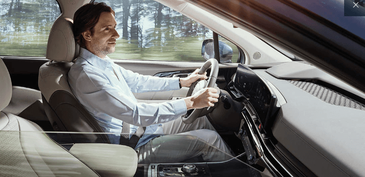 카니발 하이브리드