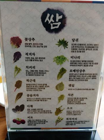 쌈채 종류