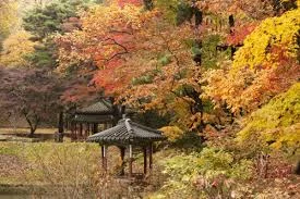 2026 새해일출런 기념품