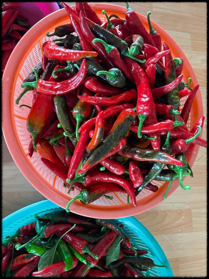 목포에서 행복한 하루