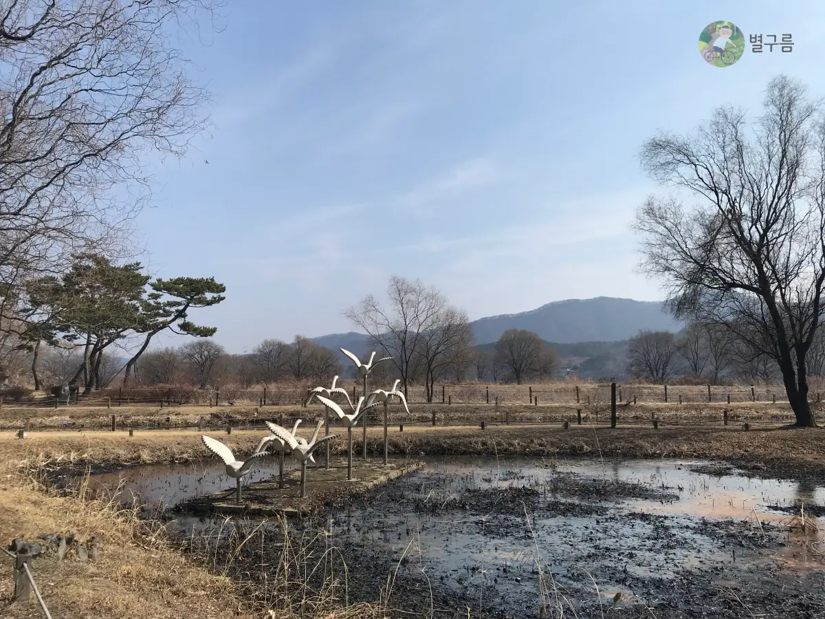 양평-세미원-호수-백조-날개짓하는 백조 조각들