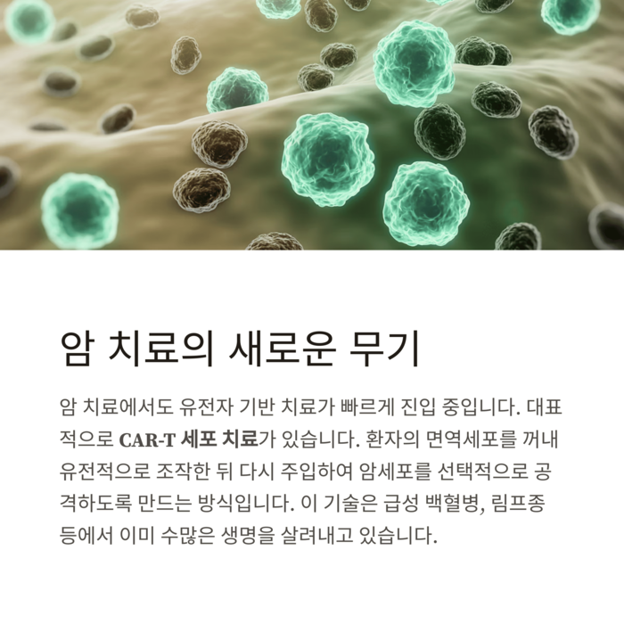 건강 의료