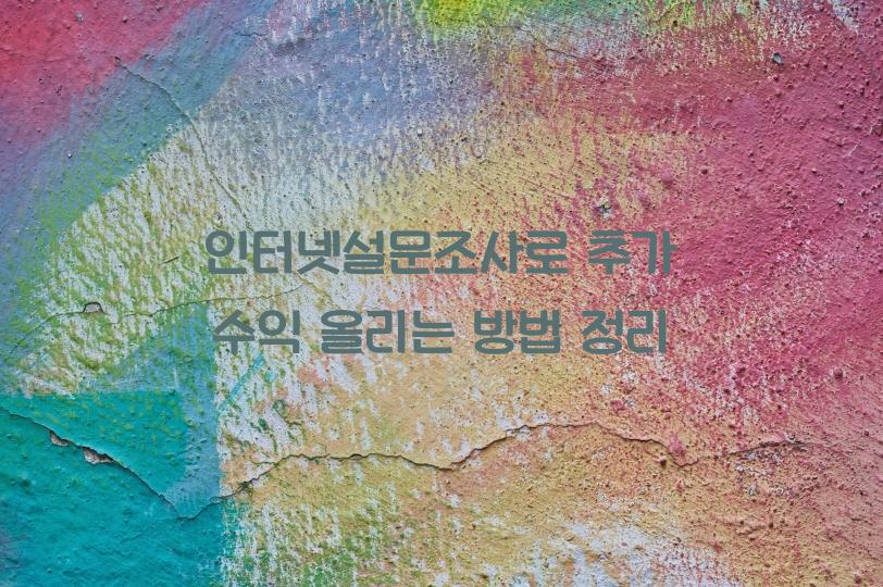 인터넷설문조사