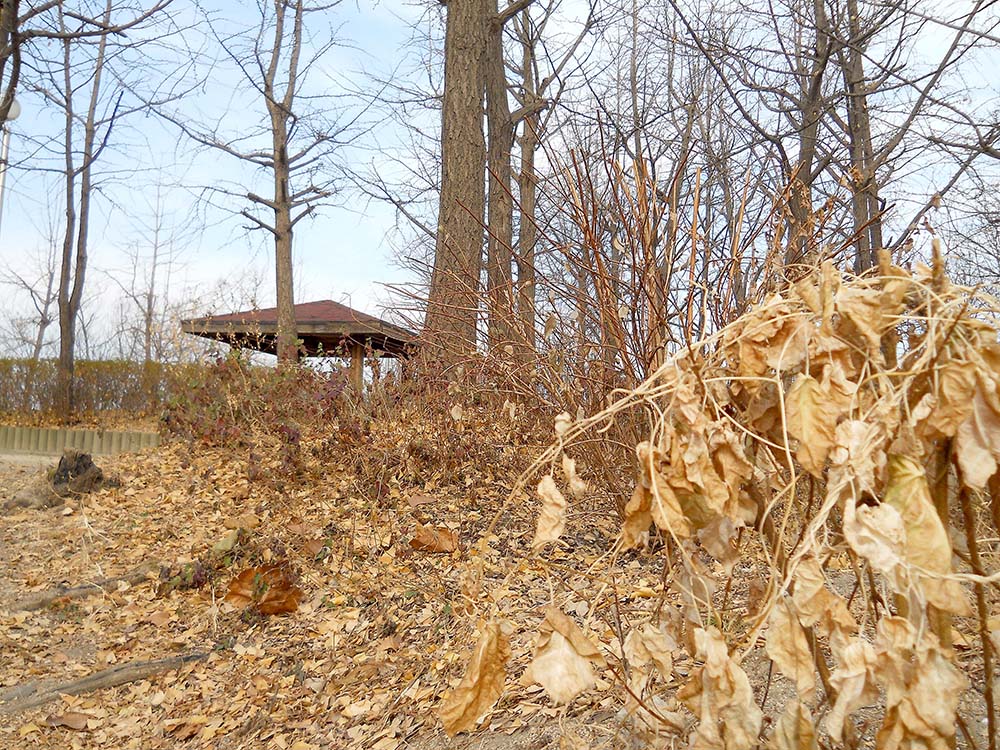 걷고 사랑하며: 홍제동 고은산 걷기