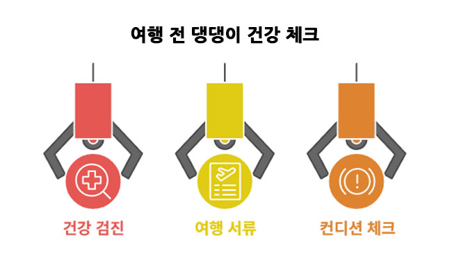 여행 전 체크 사항