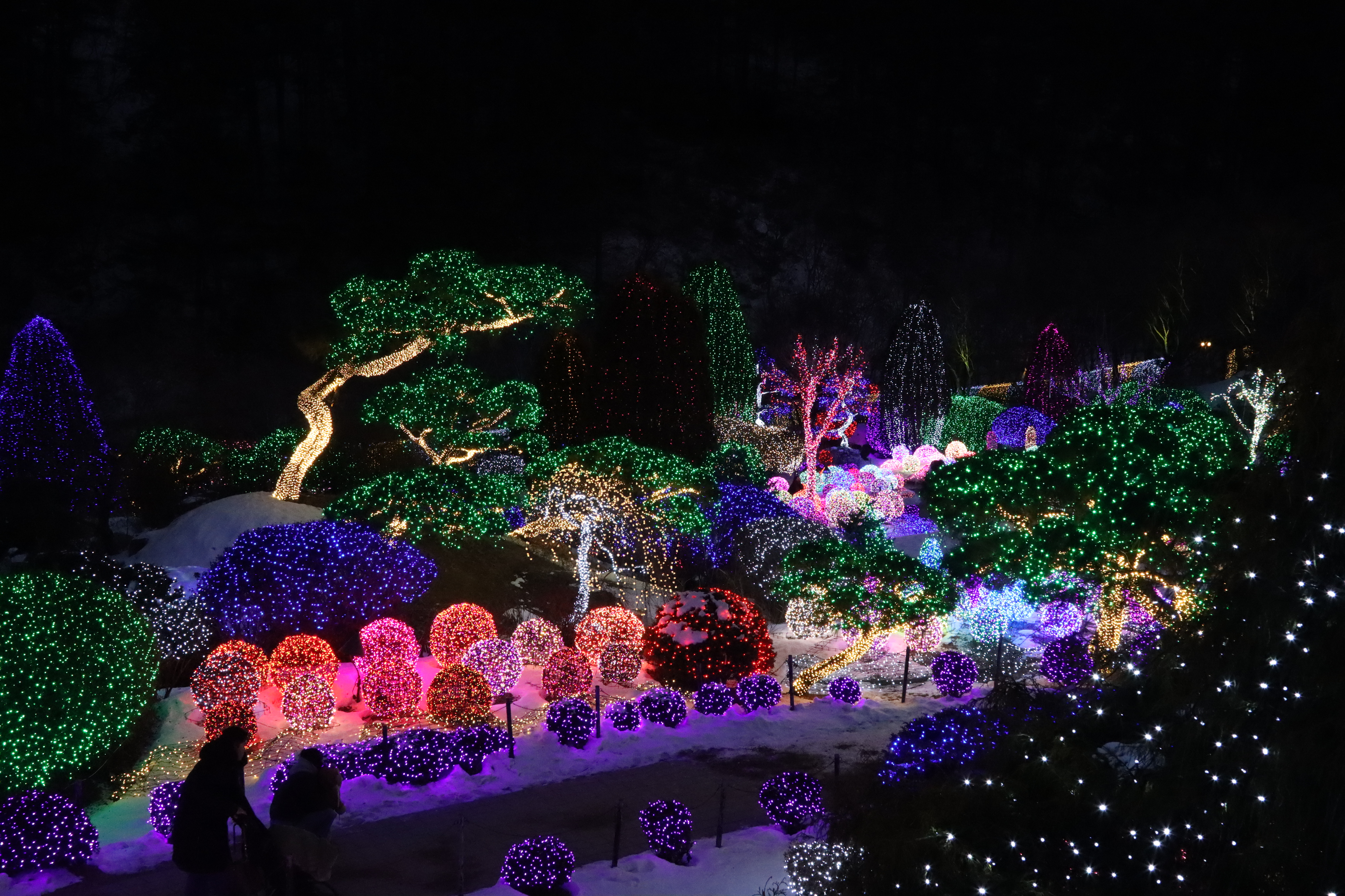 아침고요수목원