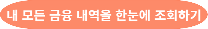 내 모든 금융 내역을 한눈에 조회하기