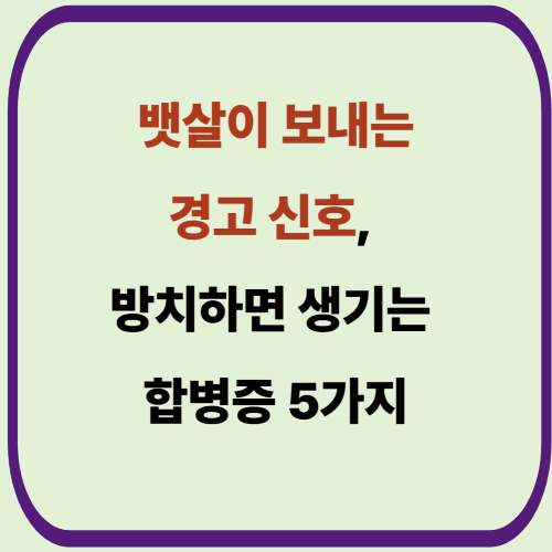 뱃살이 보내는 경고 신호, 방치하면 생기는 합병증 5가지