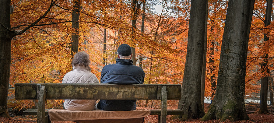 노인복지에 관련한 노인분들의 모습이 담긴 사진