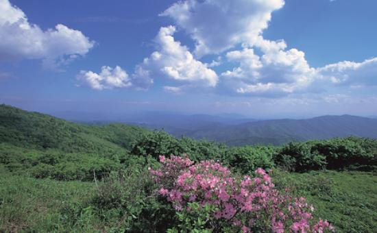 계방산 등산코스 지도