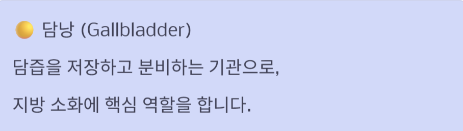 오른쪽 갈비뼈 아래 통증