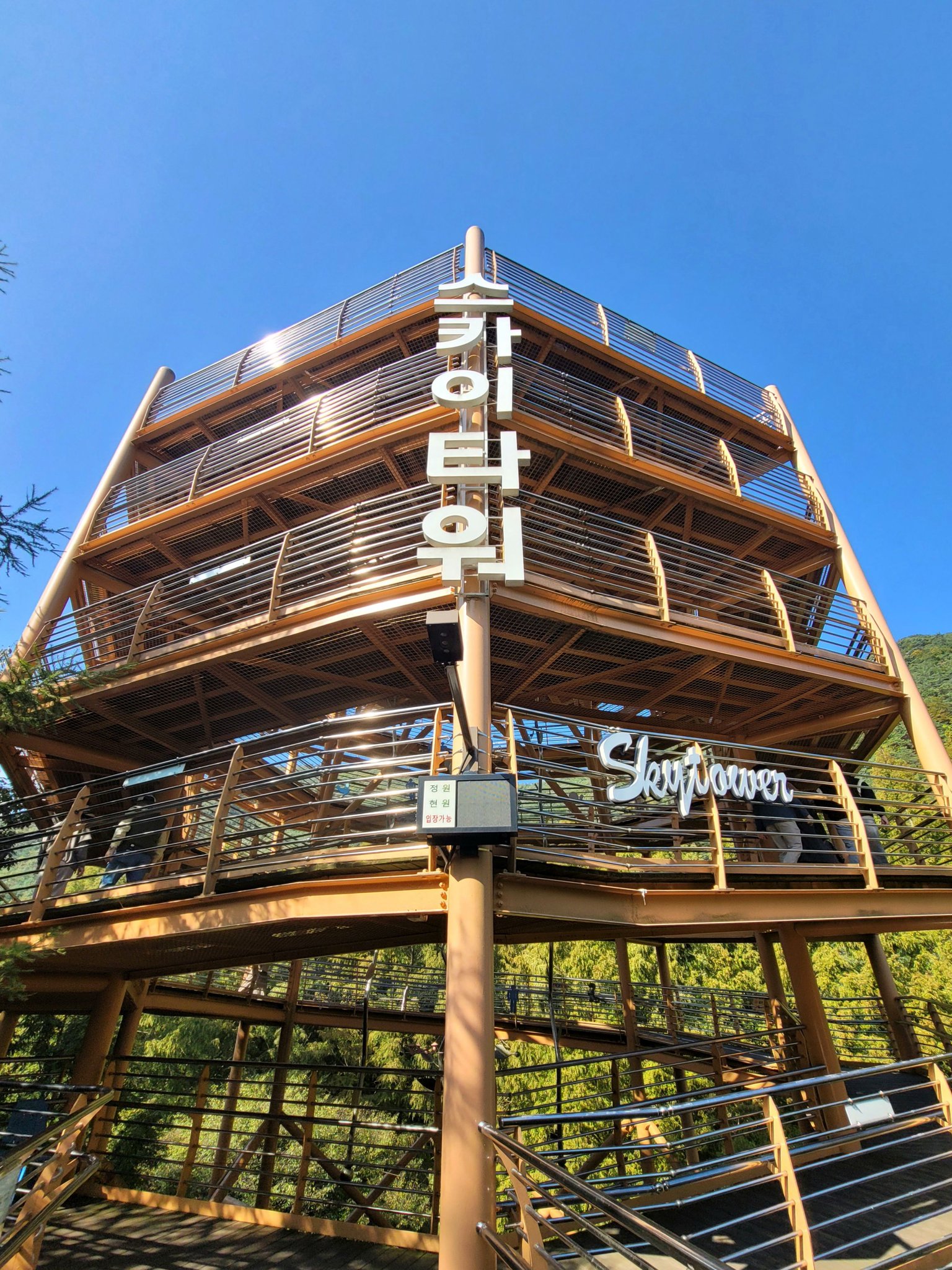 장태산 자연휴양림 스카이웨이 스카이타워 단풍 가을 여행지 대전 11