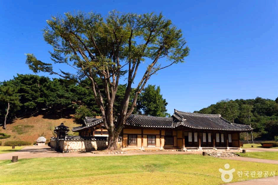 한옥집 앞에 큰 나무 한그루가 있다.