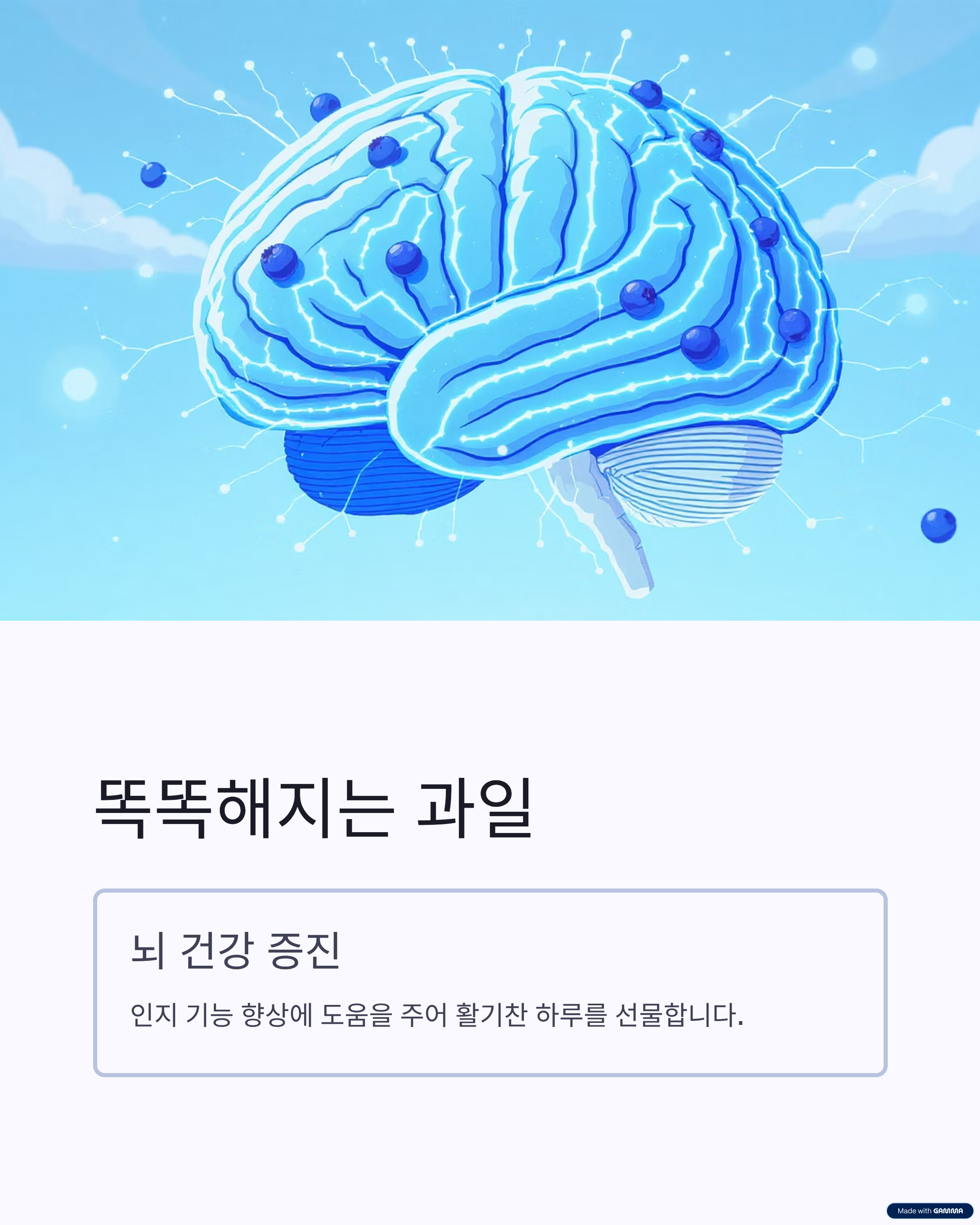 블루베리