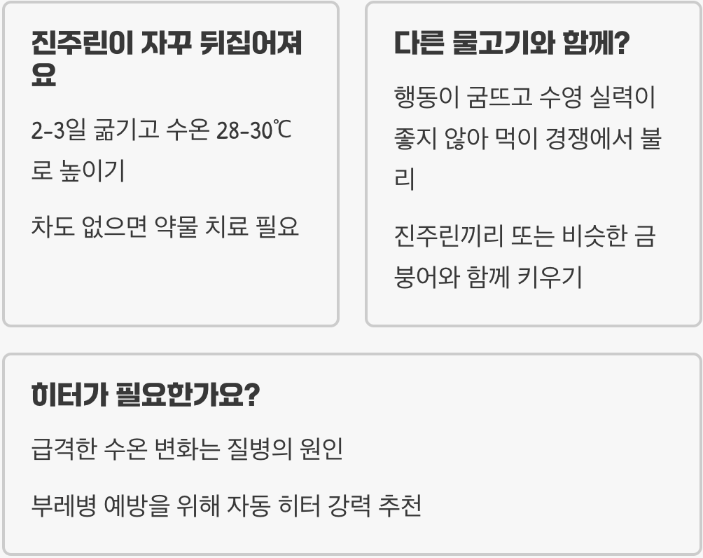 진주린 키우기 A to Z (어항, 먹이, 수질 관리)