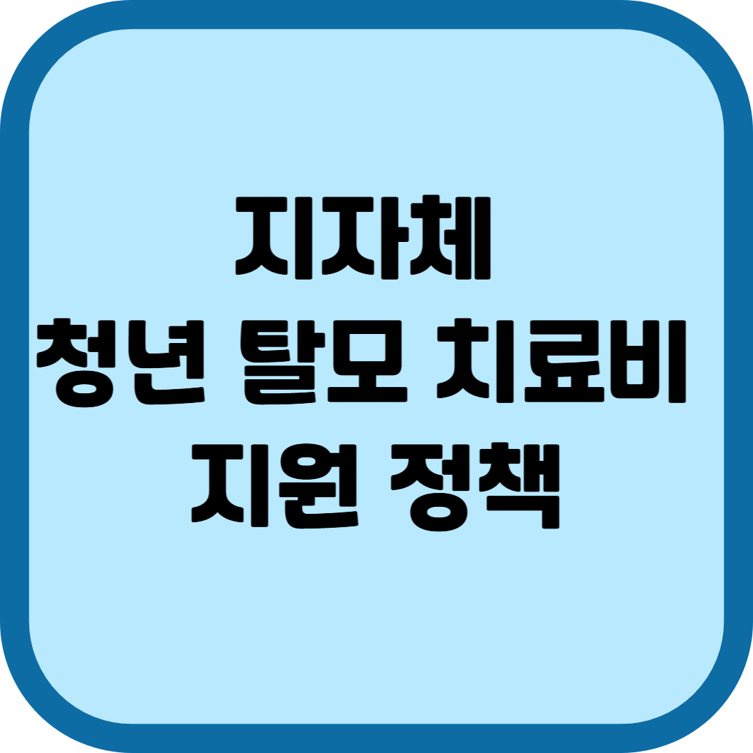 지자체 청년 탈모 치료비 지원 정책