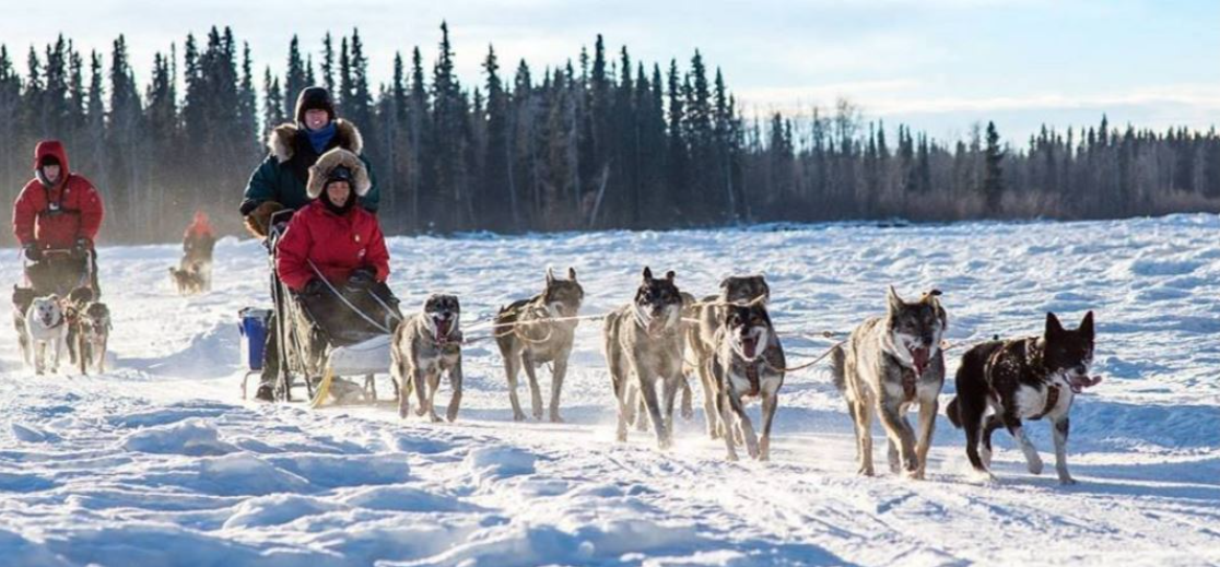 페어뱅크스 개썰매