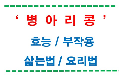 병아리콩 효능, 부작용,요리법 및 병아리콩 활용법