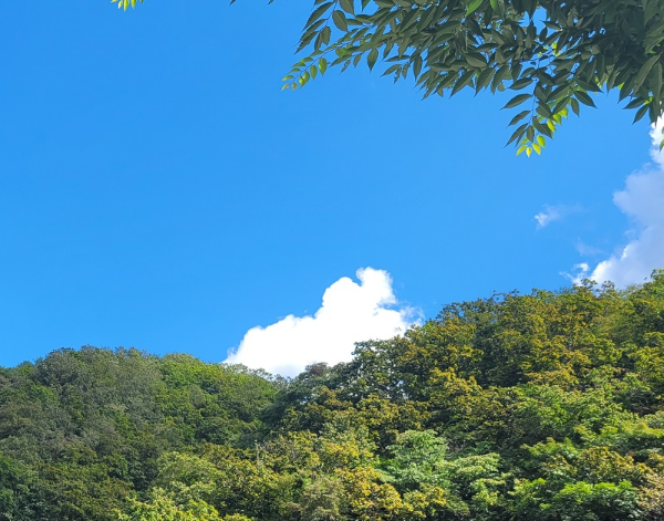 벌초할 때 주의할 점