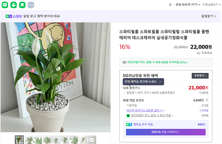 식물-성장일기-스파티필름-구매하는-방법