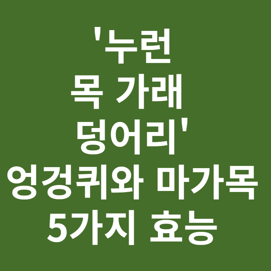 누런 목 가래 덩어리' 엉겅퀴와 마가목 5가지 효능