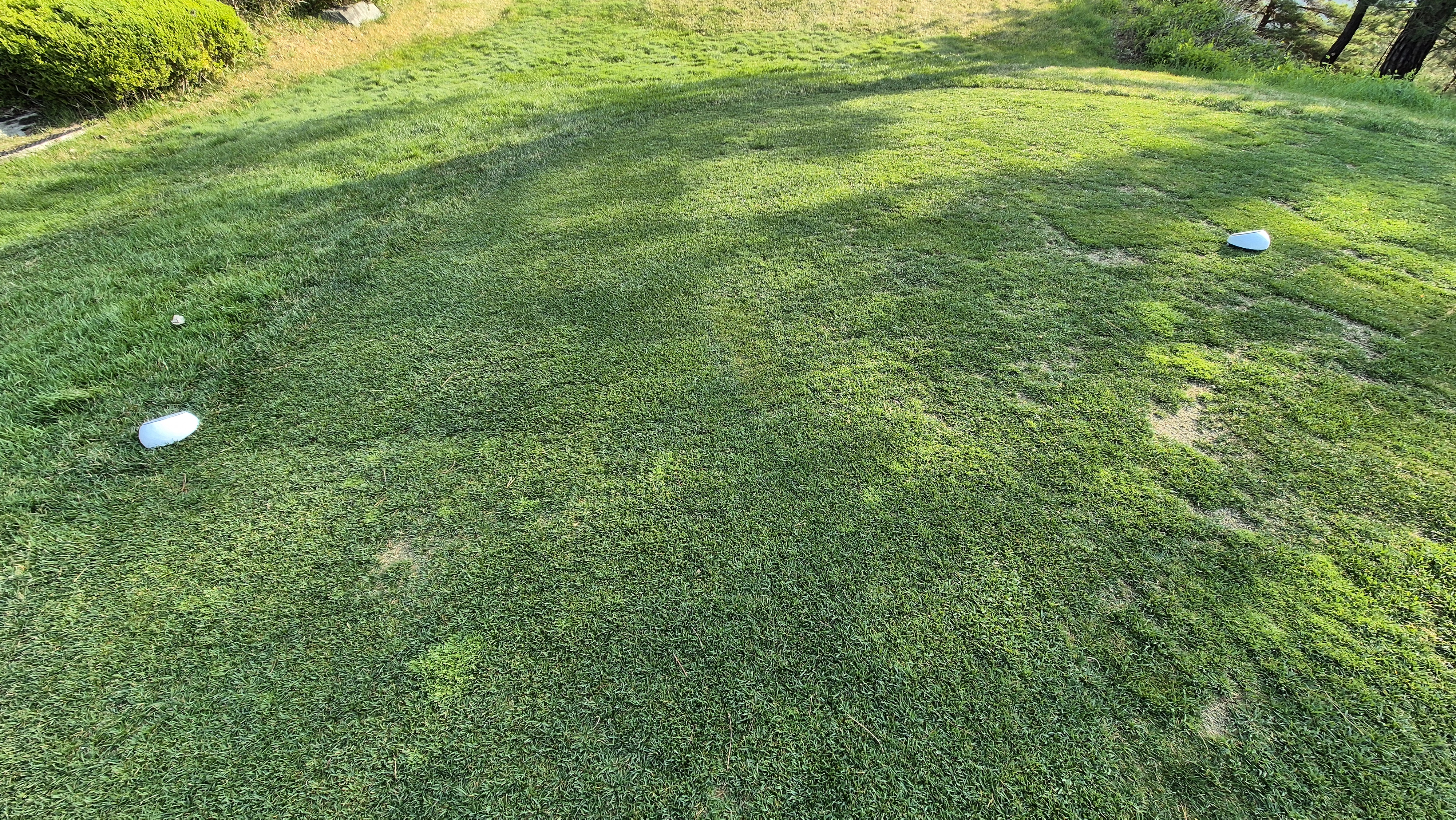 소노펠리체cc 비발디파크 웨스트