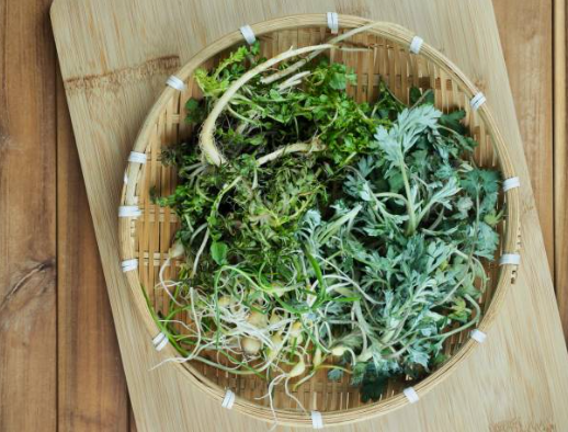 쑥과 냉이의 효능과 부작용, 건강에 미치는 영향, 주의사항.