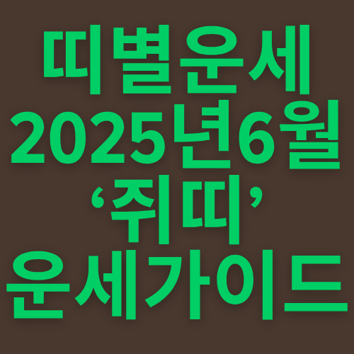 2025년 6월 쥐띠 운세 완벽 가이드