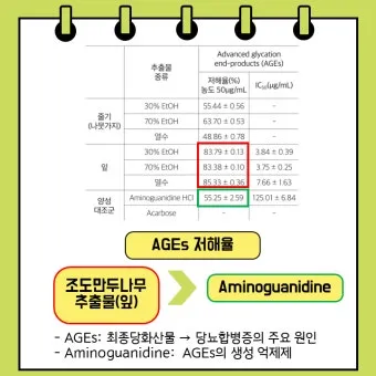 초저조도 식물 추천 빛부족집 관리요령 물주기간격 식물등활용_12