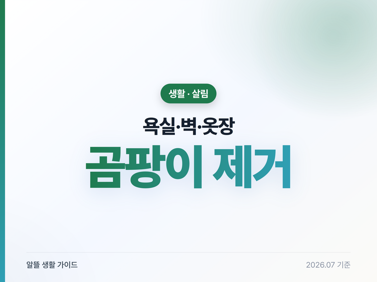 장마철 곰팡이 제거법 — 욕실·벽·옷장 곳별 + 습기 잡기 (락스 주의)
