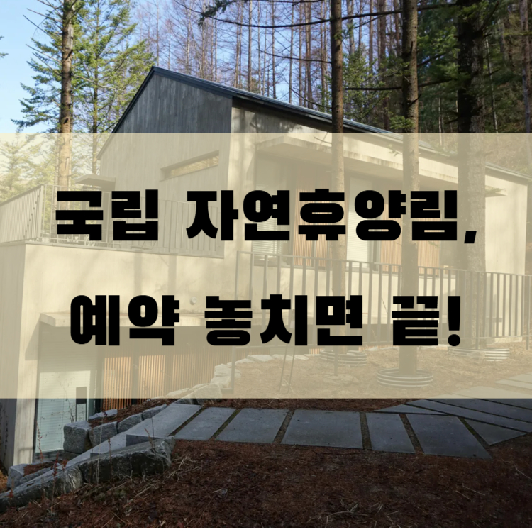 국립자연휴양림성수기예약