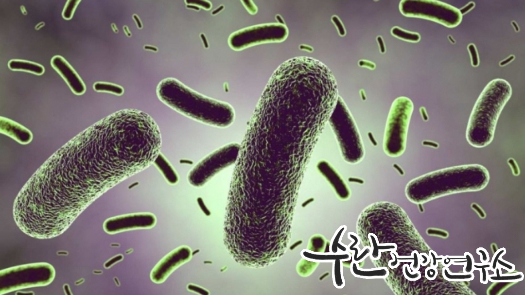 LGG 유산균 효능 부작용