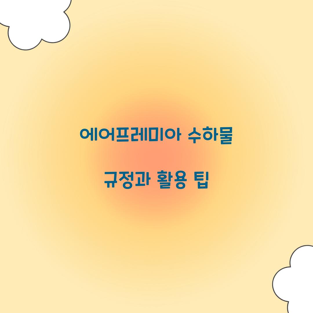 에어프레미아 수하물