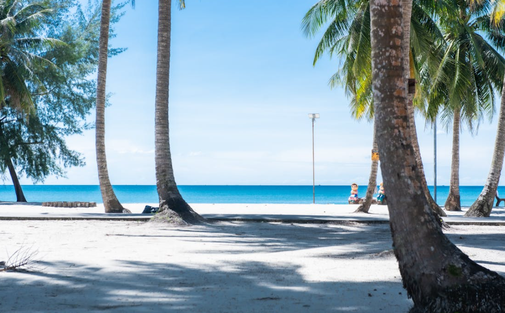 베트남 다낭 여행 준비물