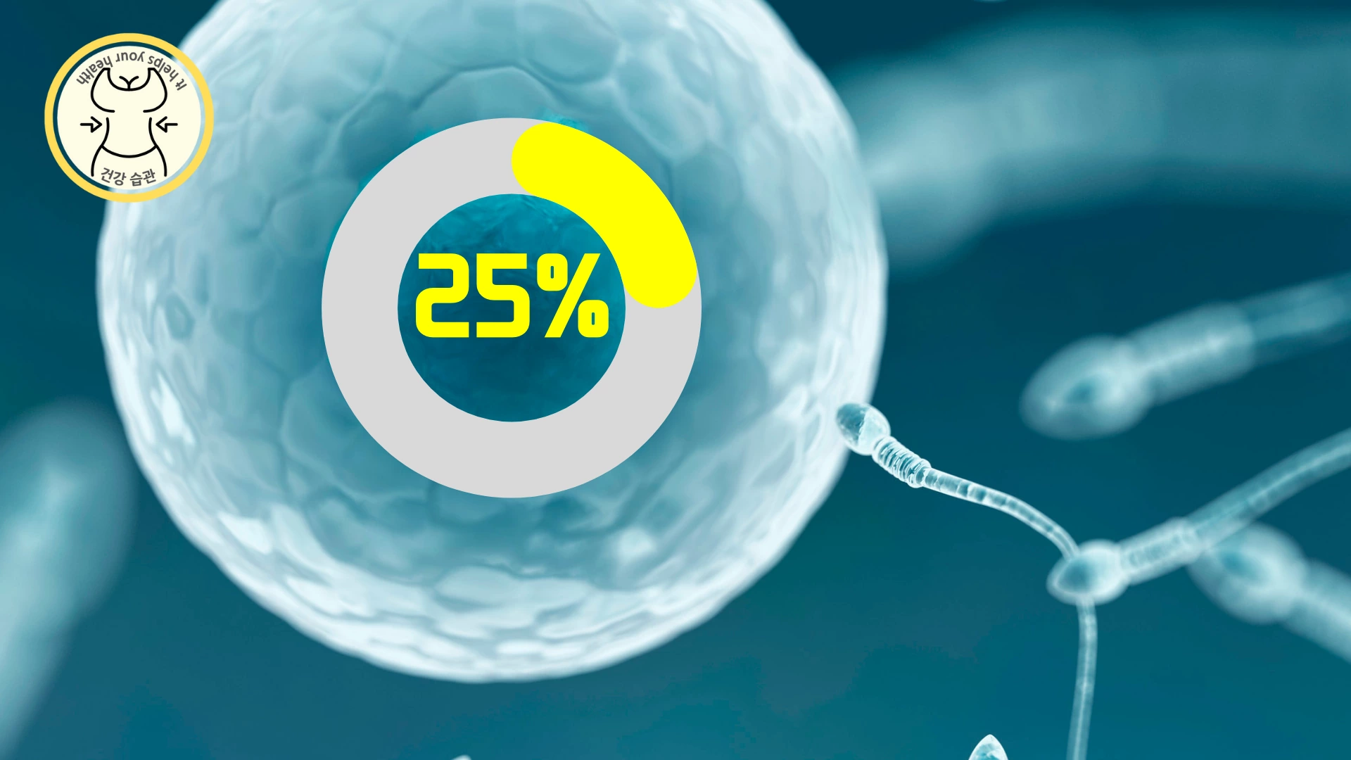 피임을 하지 않았을 때 임신할 확률