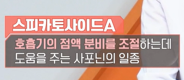 맥문동 효능
