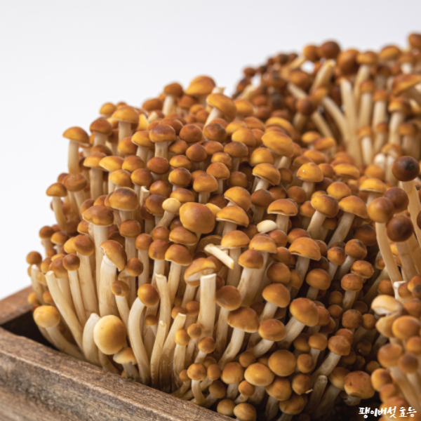 팽이버섯 효능│팽이버섯 효능 알고 드세요!