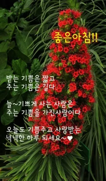 아침인사 이쁜글 다운로드_26